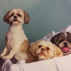 Meet your Posher, Debra